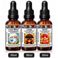 30ml Bottles