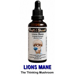 Lions Mane Extract (Dual Extracted) BUT Alcohol Free - 50ml