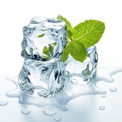 Menthol - Artificial Food Flavouring